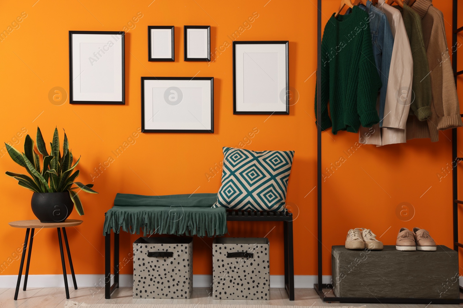 Photo of Empty frames hanging on orange wall in stylish room. Mockup for design