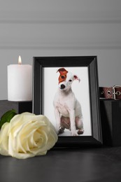 Photo of Frame with picture of dog, collar, burning candle and rose on black table. Pet funeral