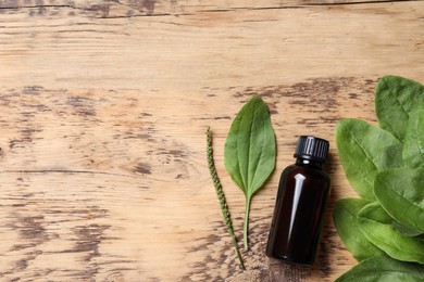 Bottle of broadleaf plantain extract and leaves on wooden table, flat lay. Space for text