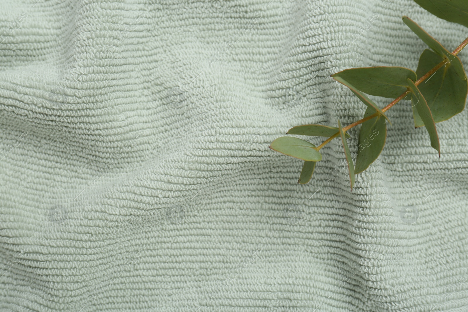 Photo of Eucalyptus branch on soft towel, top view. Space for text