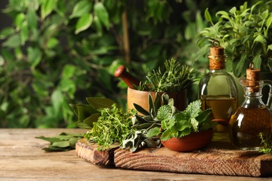 Different fresh herbs with oils on wooden table