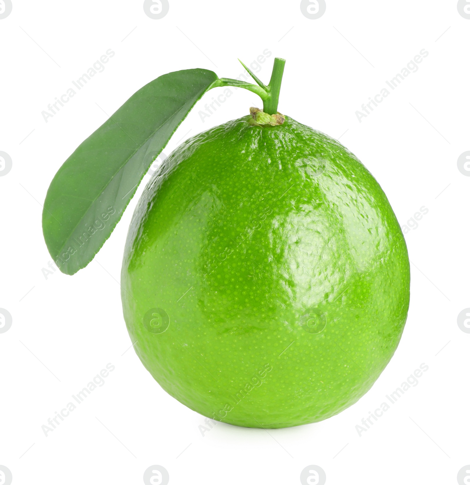 Photo of Fresh green ripe lime with leaf isolated on white