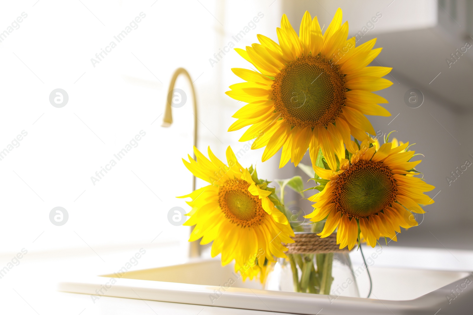 Photo of Vase with beautiful yellow sunflowers in kitchen sink, space for text