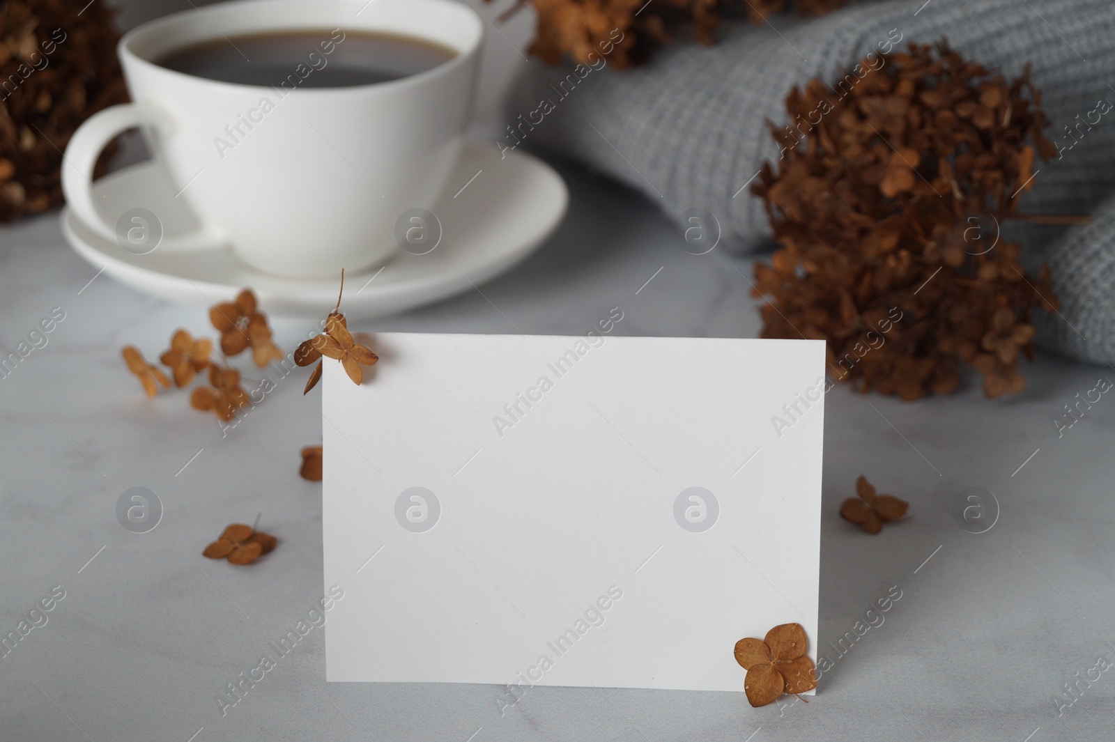 Photo of Dried hortensia flowers, blank card and cup of hot drink on white marble table, closeup