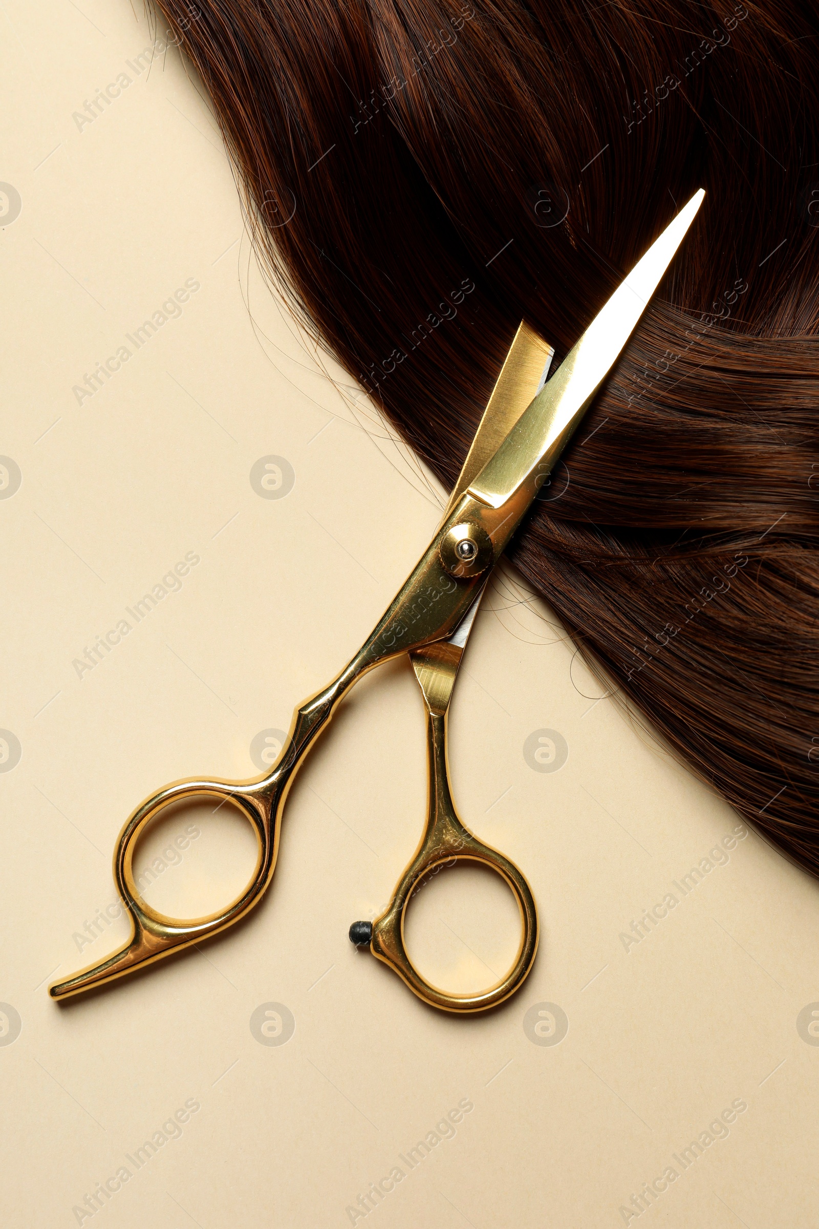 Photo of Professional scissors with brown hair strand on beige background, top view