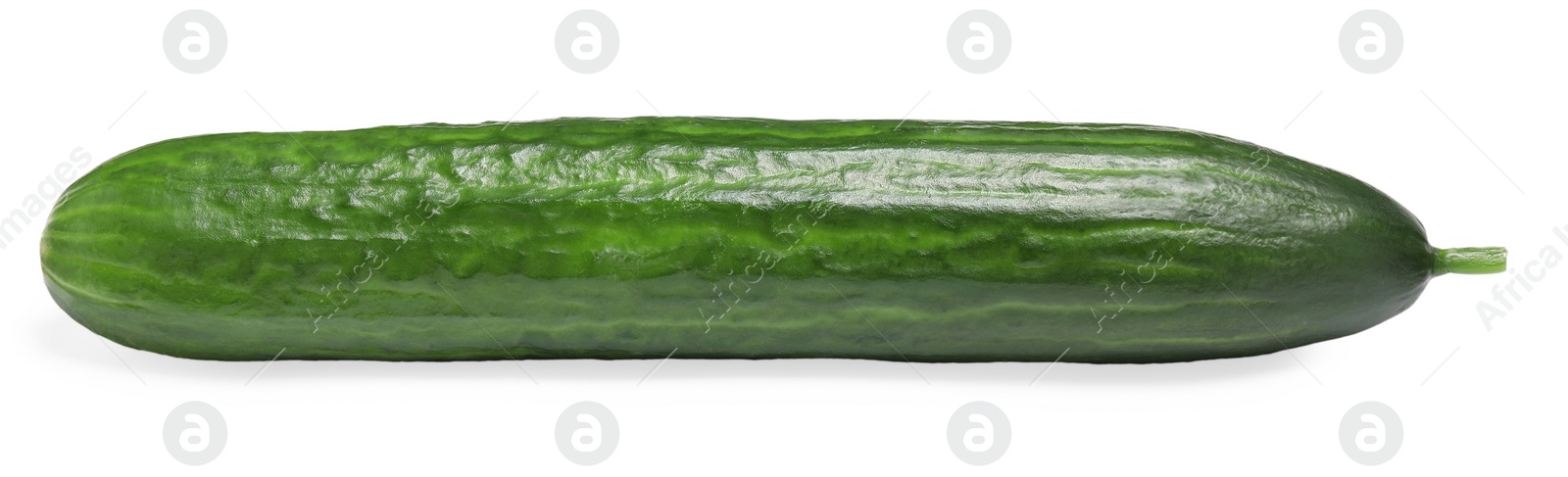 Photo of One long fresh cucumber isolated on white