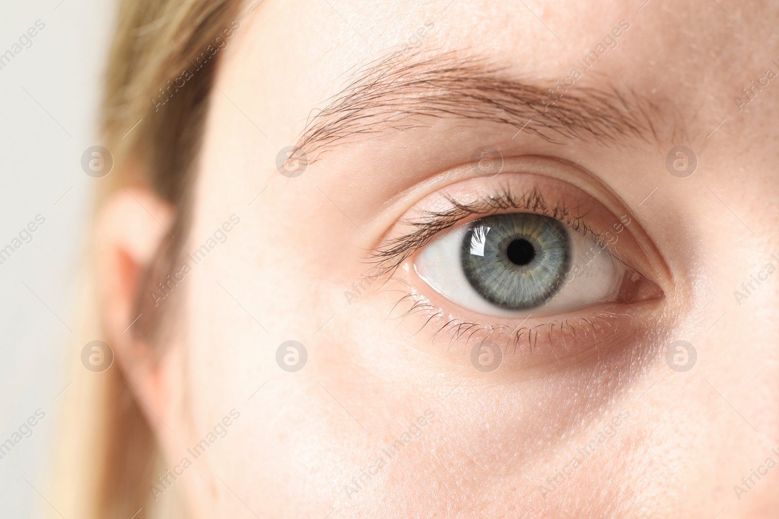 Photo of Macro photo of woman with beautiful eyes on light background