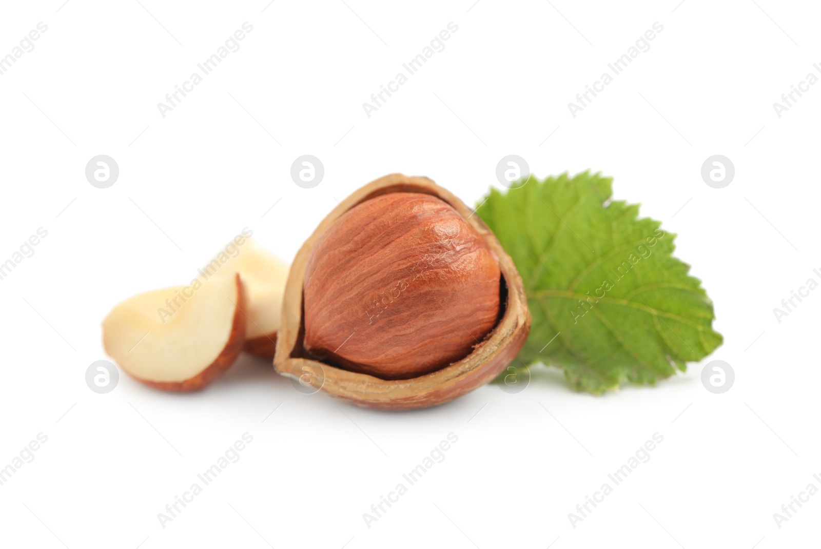 Photo of Tasty organic hazelnuts and leaf on white background