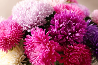 Photo of Closeup view of beautiful aster flower bouquet