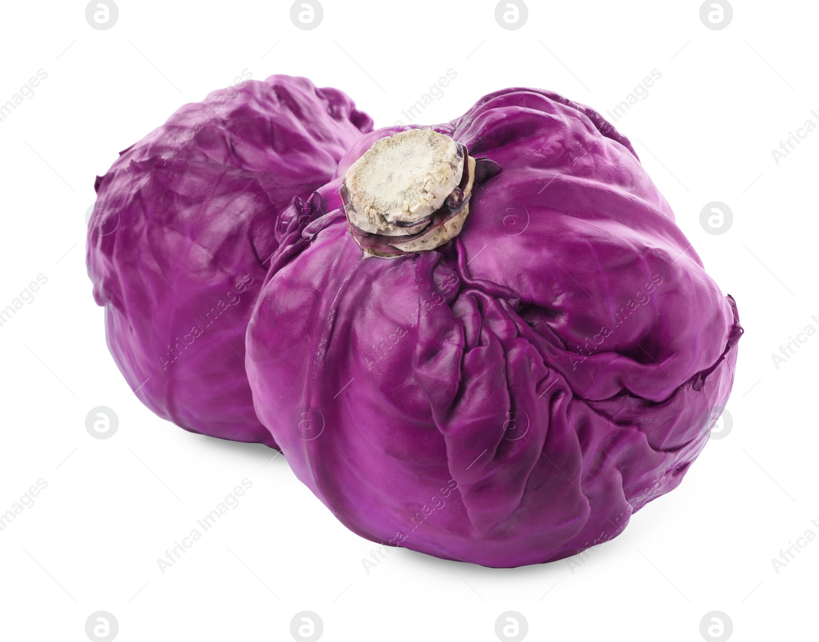 Photo of Fresh ripe red cabbages on white background