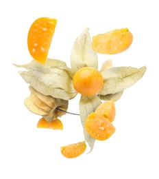 Ripe orange physalis fruits with calyx falling on white background