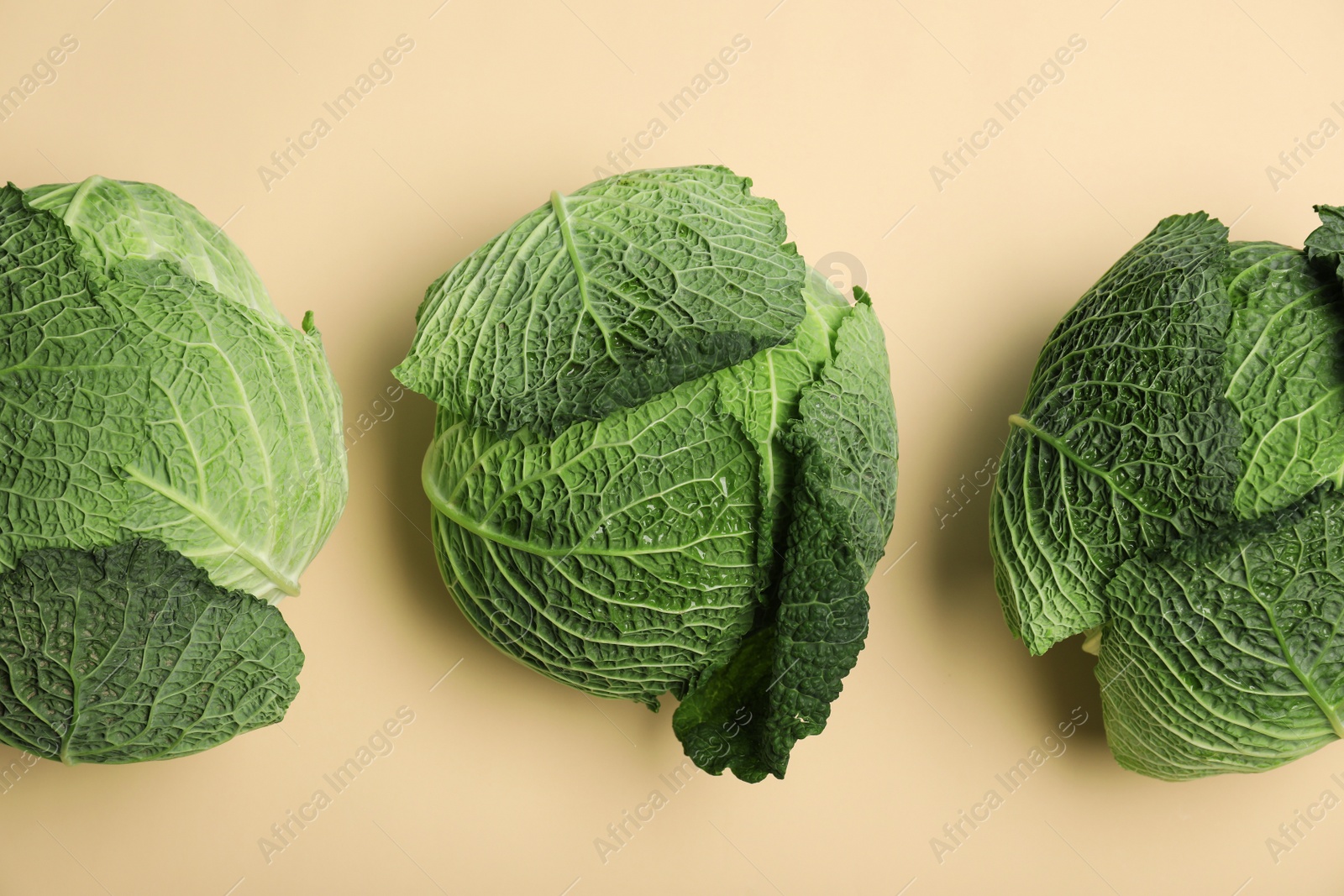 Photo of Fresh green savoy cabbages on color background, top view