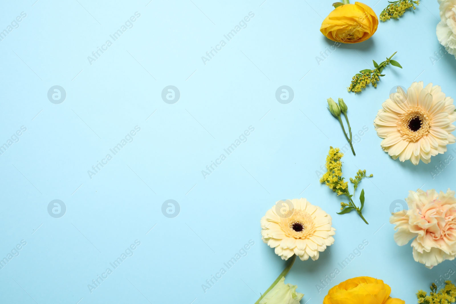 Photo of Floral composition with beautiful flowers on light blue background, flat lay. Space for text