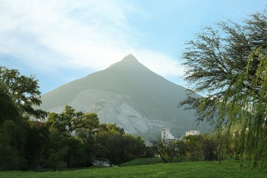 Picturesque view of mountain near park at summer