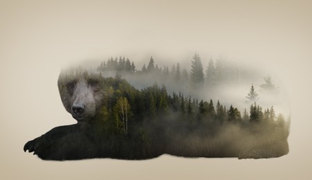 Double exposure of bear and woods in foggy mountains. Banner design