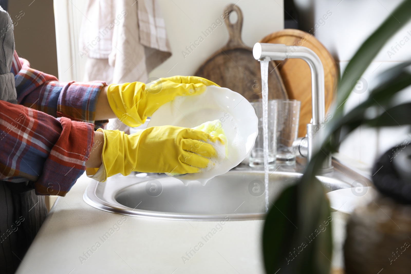 Photo of Woman washing plate in kitchen sink, closeup