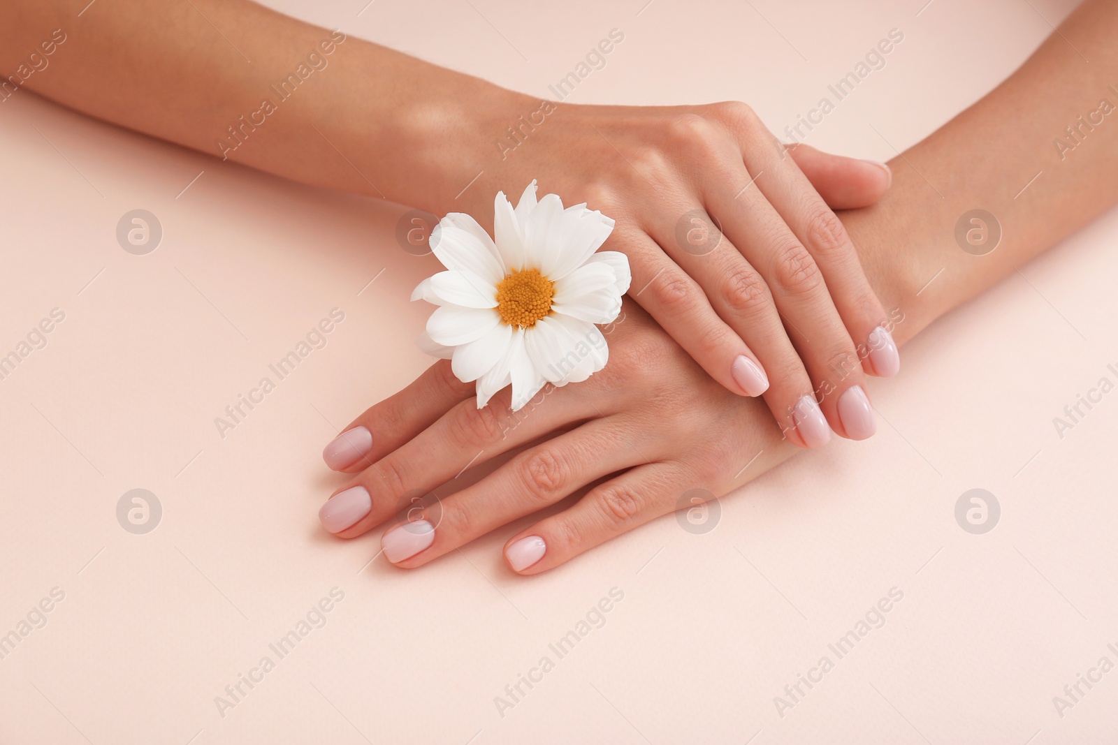 Photo of Closeup view of woman with flower on color background. Spa treatment