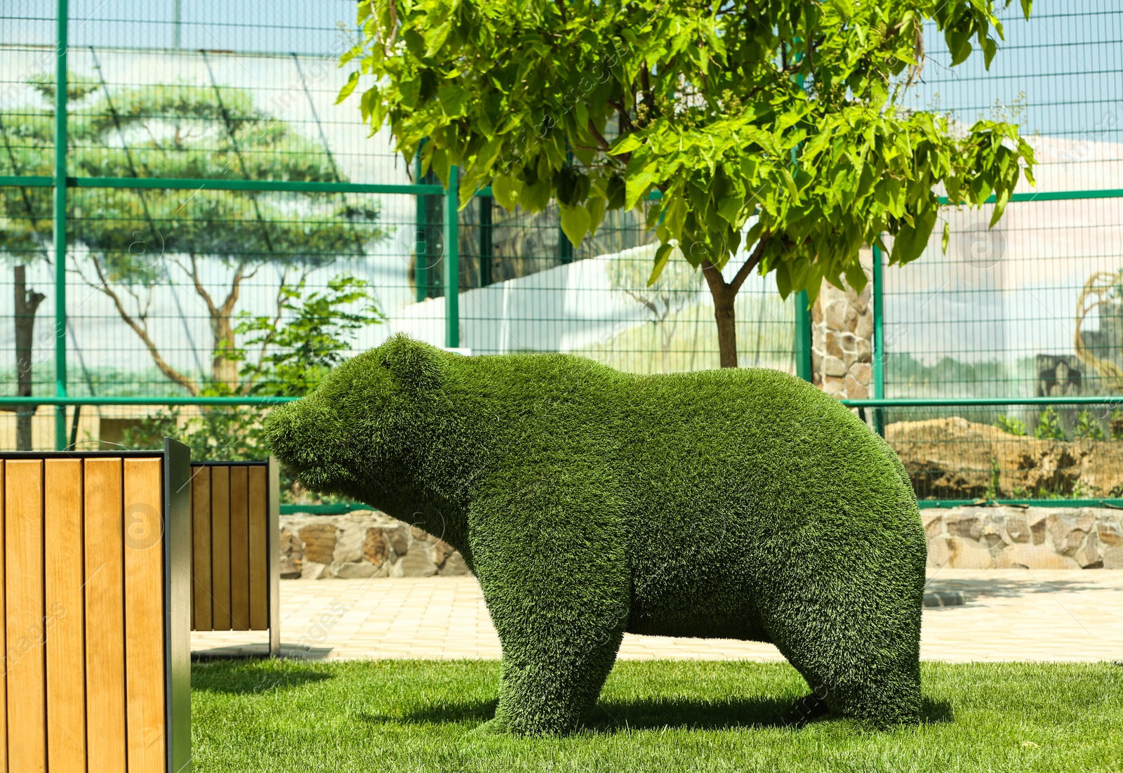 Photo of Beautiful bear shaped topiary at zoo on sunny day. Landscape gardening