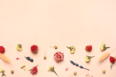 Photo of Flat lay composition with beautiful dried flowers on pink background. Space for text