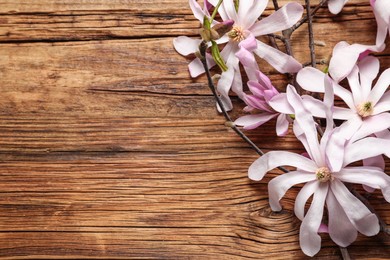 Photo of Magnolia tree branches with beautiful flowers on wooden table, above view. Space for text