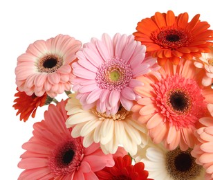 Photo of Bouquet of beautiful colorful gerbera flowers on white background
