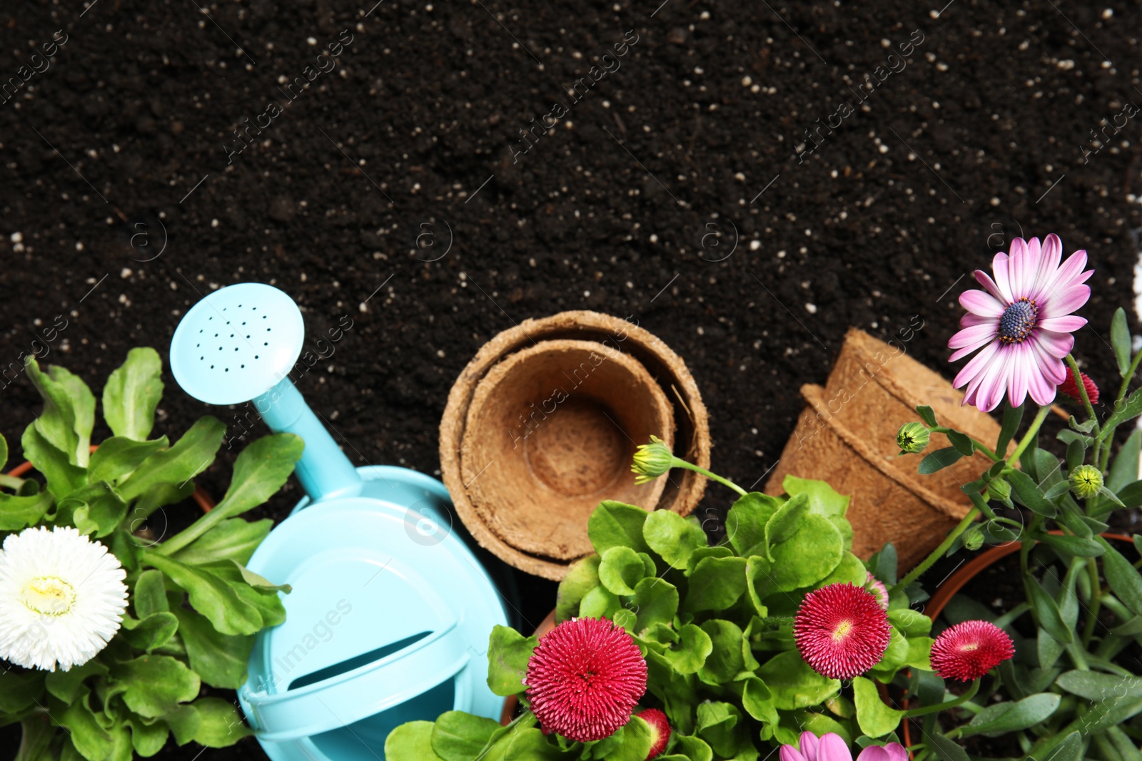 Photo of Flat lay composition with gardening equipment and flowers on soil