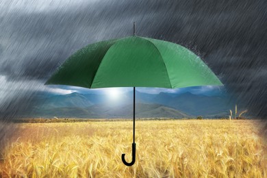 Image of Open green umbrella under heavy rain in wheat field 