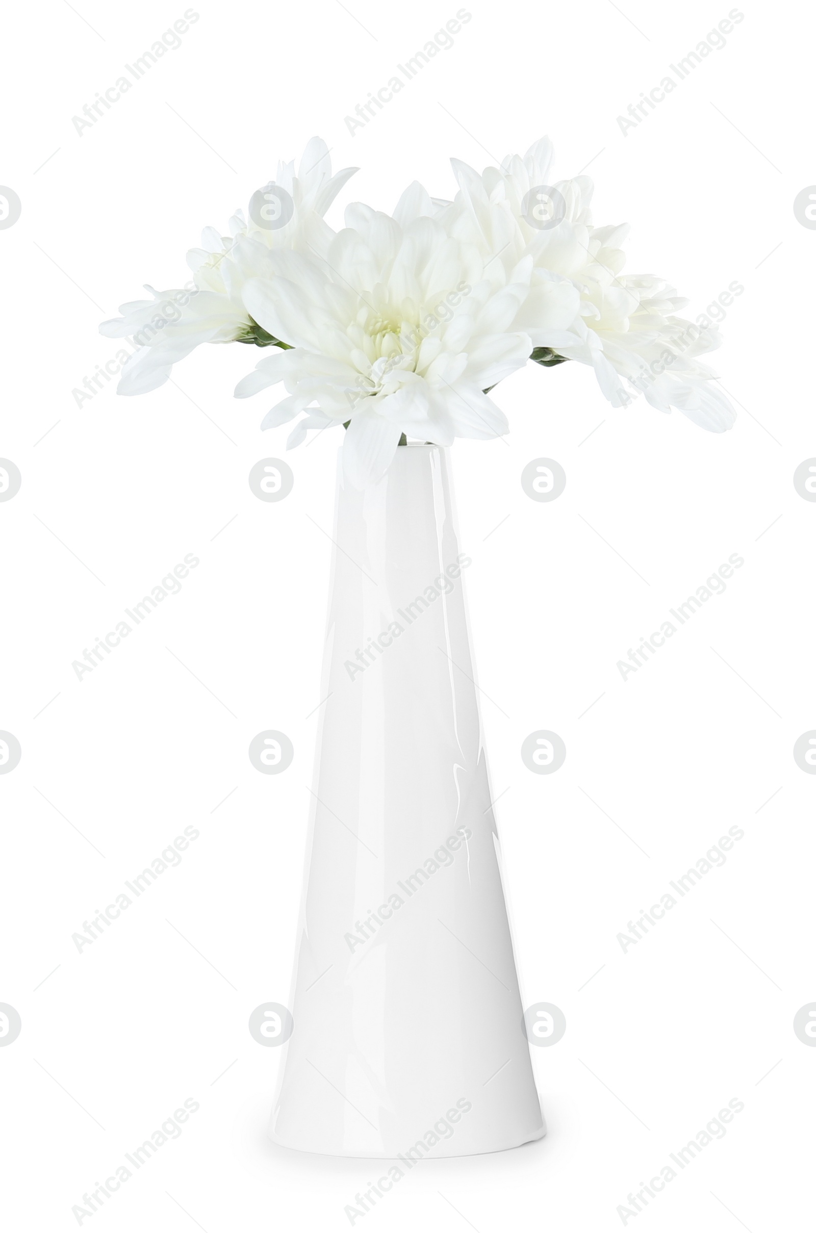 Photo of Stylish ceramic vase with flowers isolated on white