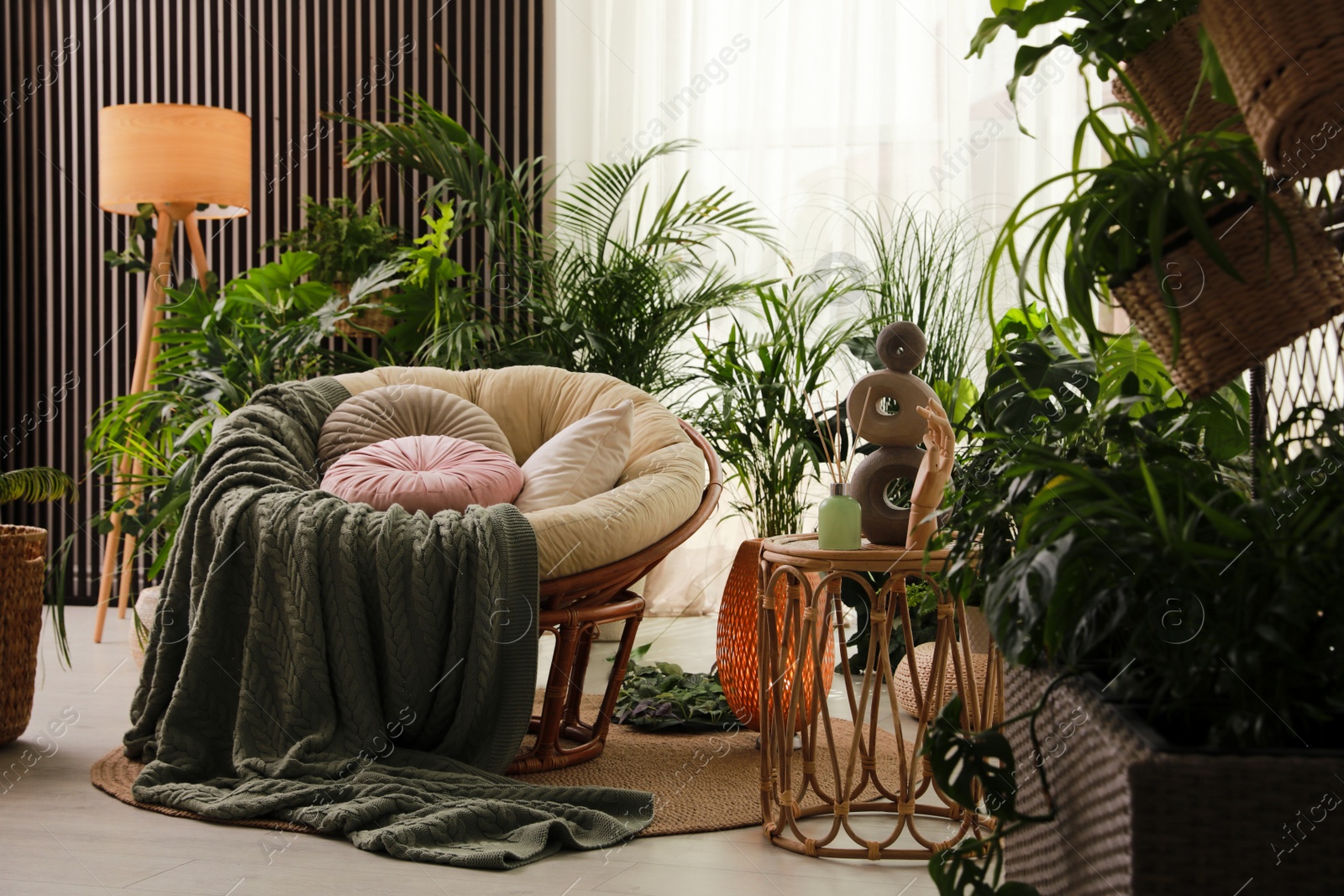 Photo of Indoor terrace interior with soft papasan chair and green plants