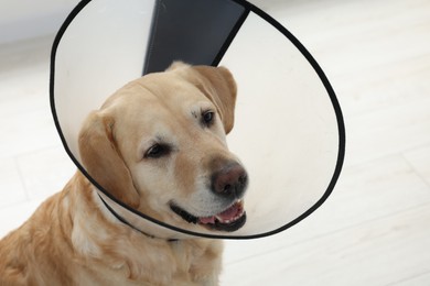 Photo of Sad Labrador Retriever with protective cone collar indoors