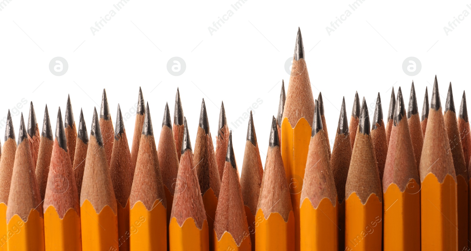 Photo of Many sharp graphite pencils isolated on white
