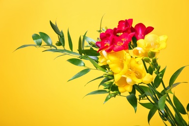 Photo of Bouquet with beautiful freesia flowers on color background