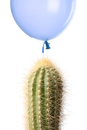Image of light blue balloon over cactus on white background