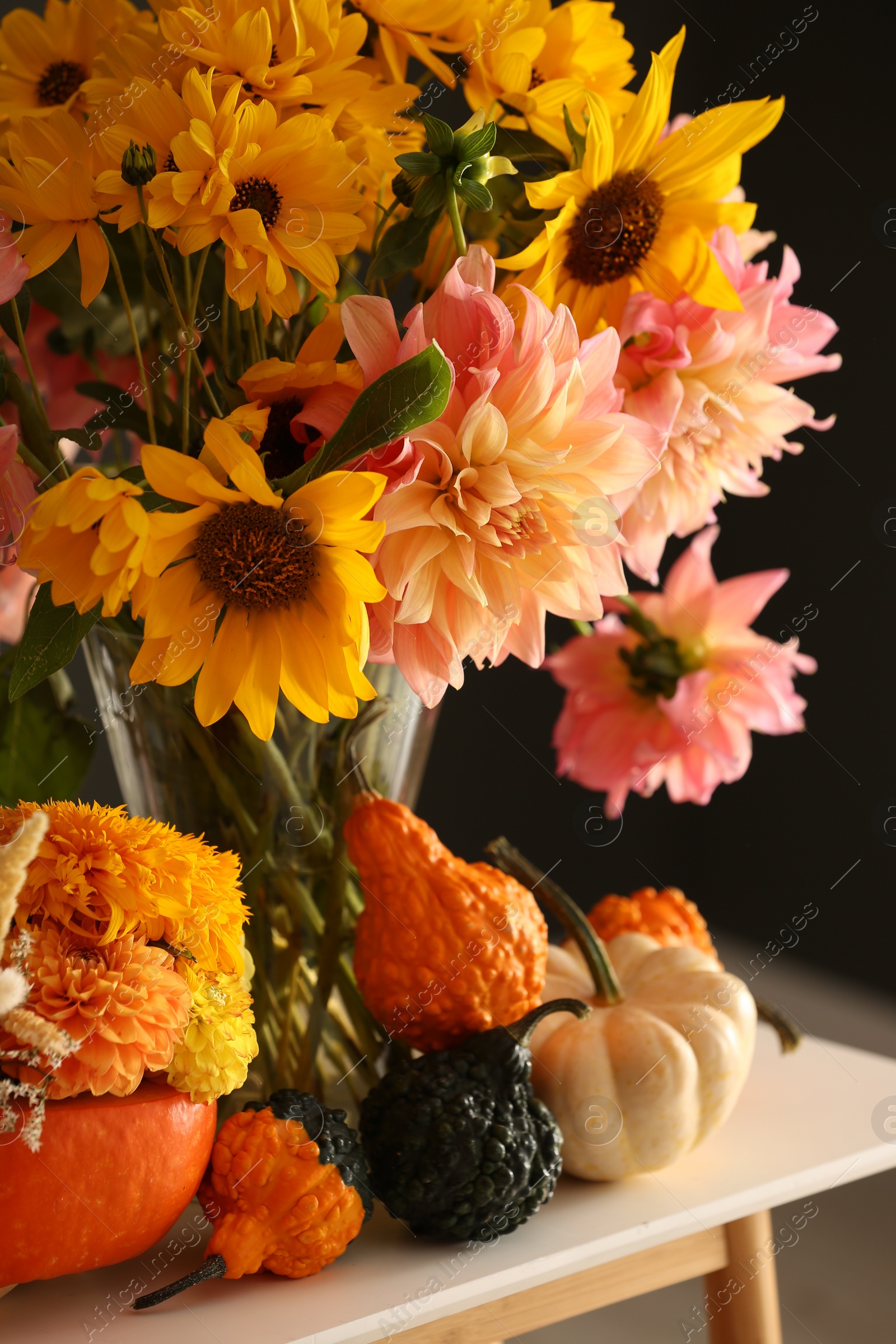 Photo of Autumn composition with beautiful flowers and pumpkins on white table near dark grey wall