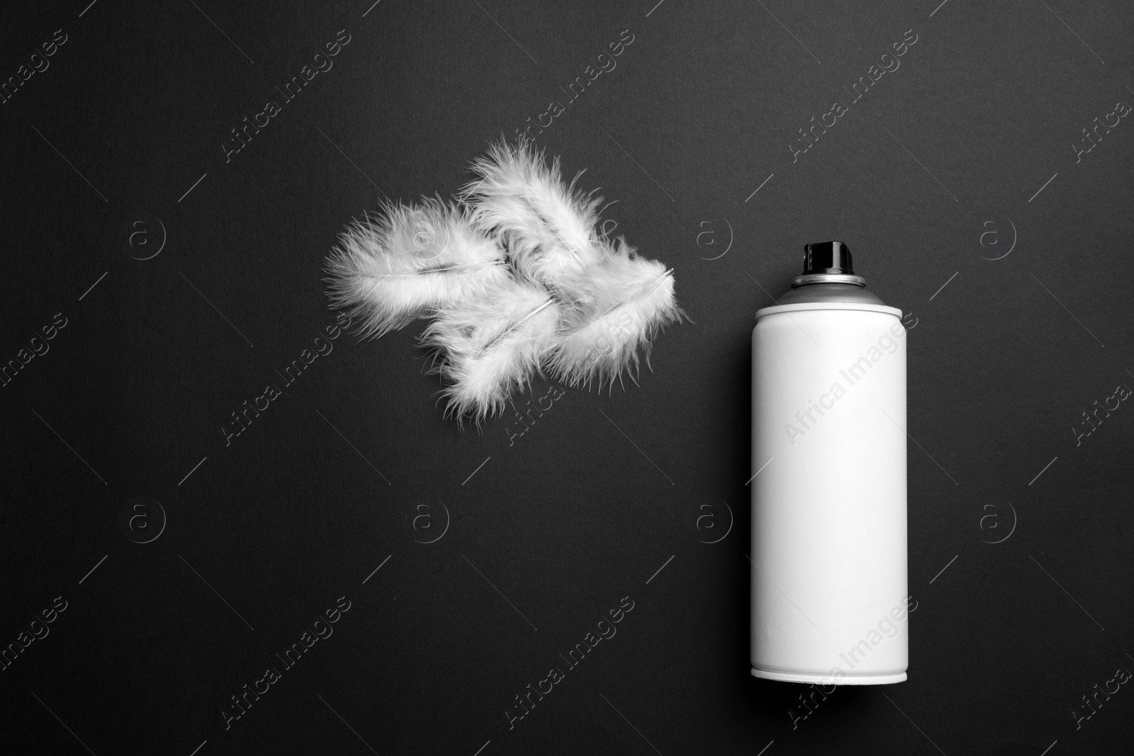 Photo of Can of spray paint and feathers on black background, flat lay. Graffiti supply