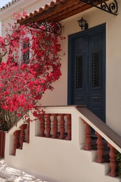 Plant with beautiful pink flowers near house entrance