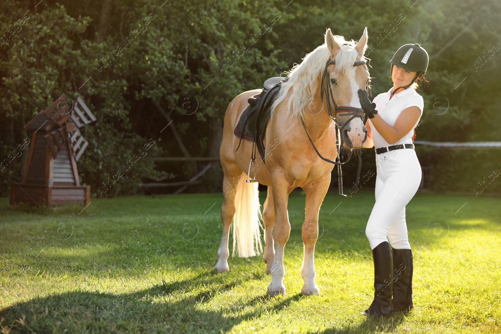 Photo of Young woman in horse riding suit and her beautiful pet outdoors on sunny day