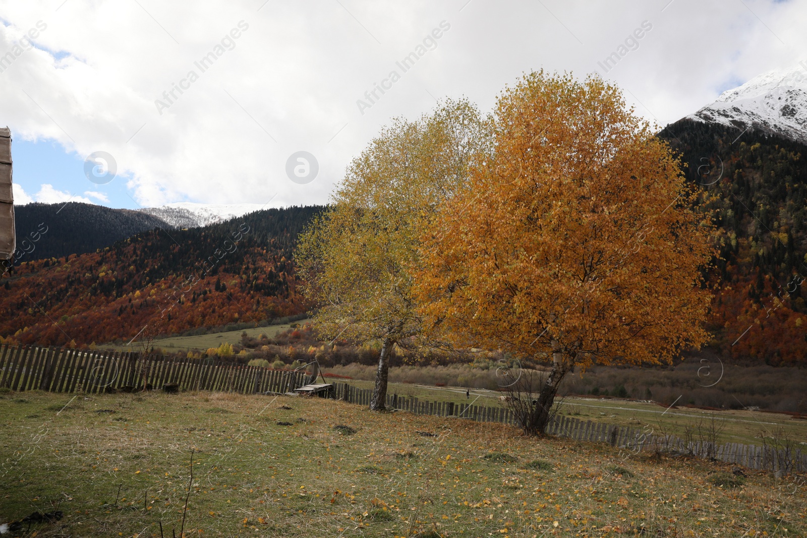 Photo of Picturesque view of fence in mountains with forest on autumn day