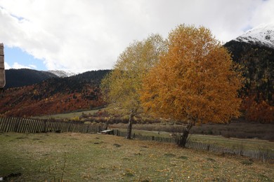 Photo of Picturesque view of fence in mountains with forest on autumn day