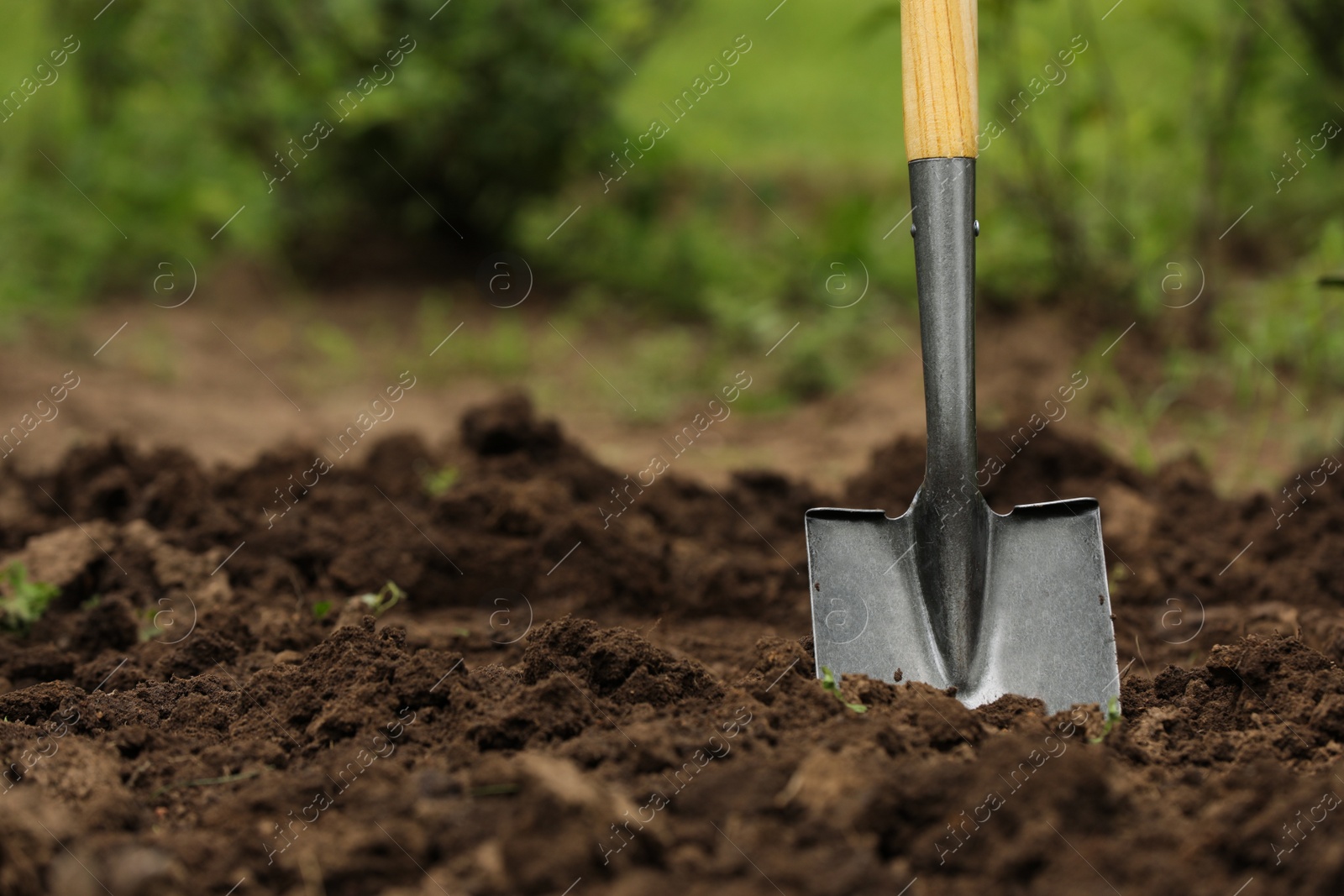 Photo of Shovel in soil outdoors, space for text. Gardening tool