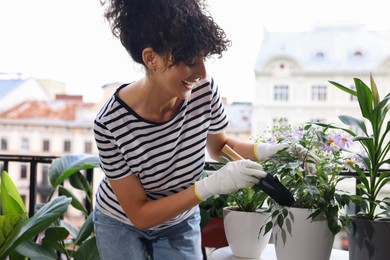 Photo of Young woman potting beautiful Ficus benjamina plant at table on balcony