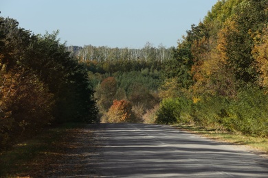 Photo of Beautiful view of country road and autumn forest