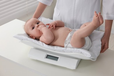 Photo of Pediatrician weighting cute little baby in clinic, closeup