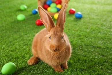 Cute bunny and Easter eggs on green grass