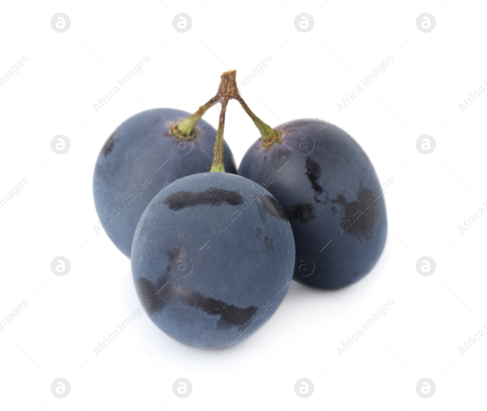 Photo of Delicious ripe dark blue grapes isolated on white