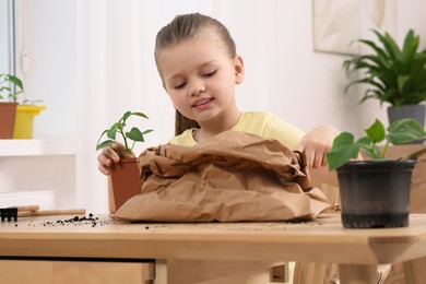 Photo of Cute little girl planting seedling into pot at wooden table indoors