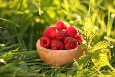 Photo of Tasty ripe raspberries in bowl on green grass outdoors, closeup