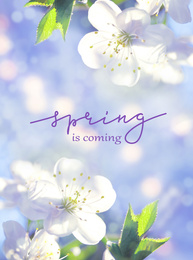 Image of Creative greeting card design with flowers. Hello spring