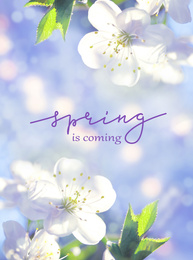 Creative greeting card design with flowers. Hello spring