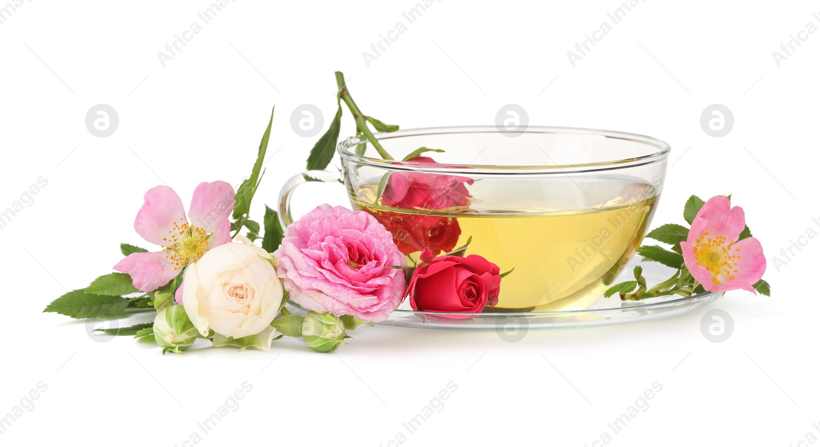 Photo of Aromatic herbal tea in glass cup and flowers isolated on white